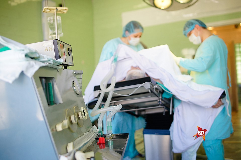 ветеринары уральские. уральские пельмени постер. уральские пельмени не вешать хвост ветеринары. ветеринары уральские. ветеринары уральские.